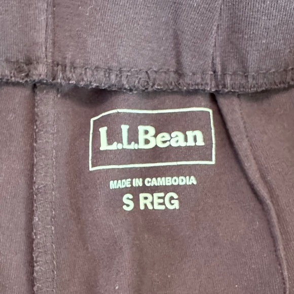 L.L. Bean Stretchy Waistband Brown Long Pants Size Small Reg - Picture 13 of 16